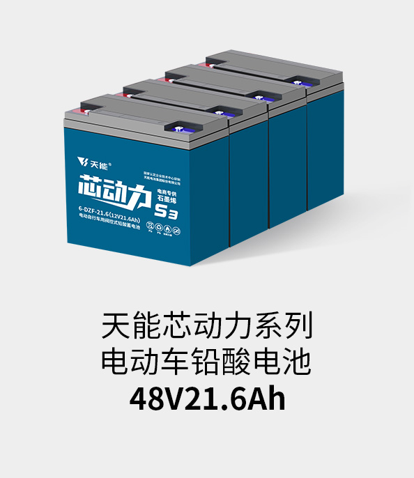ڲΪ,רҵ48v20ah