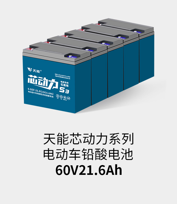 ڲΪ,רҵ60v20ah