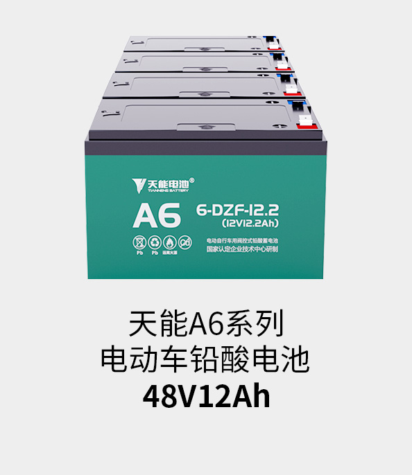ڲΪ,רҵ48v12ah