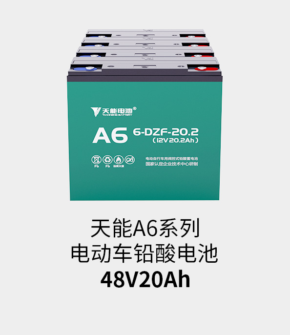 ڲΪ,רҵ48v20ah