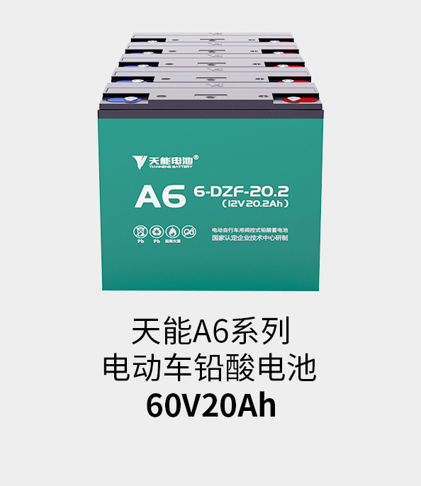 ڲΪ,רҵ60v20ah