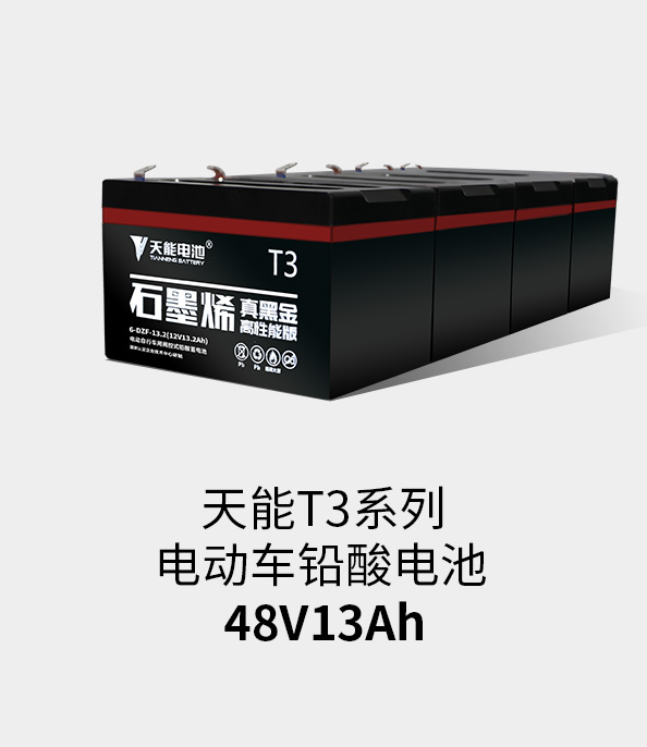 ڲΪ,רҵT3ϵ48v13ah