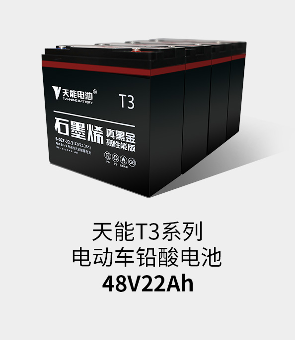 ڲΪ,רҵT3ϵ48v22ah