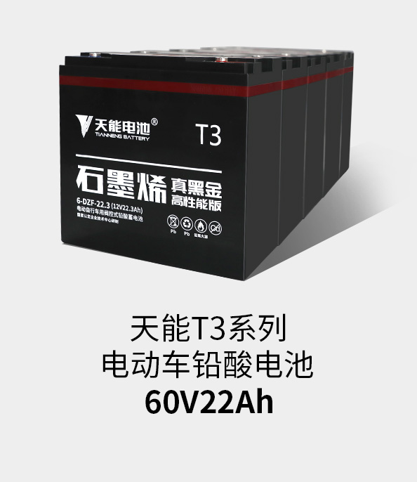 ڲΪ,רҵT3ϵ60v22ah