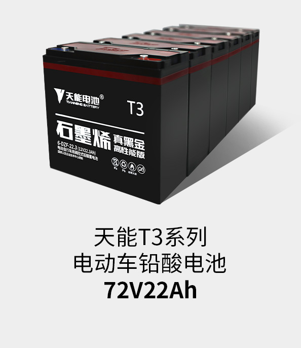 ڲΪ,רҵT3ϵ72v22ah